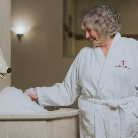 Drei Quellen Therme فندق باد جريسباخ