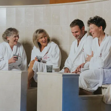 فندق Drei Quellen Therme باد جريسباخ